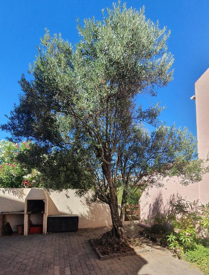 Appartement Avec Vaste Terrasse A 30 M Des Dunes Agde Zewnętrze zdjęcie